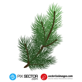 Free vector pine branch twig