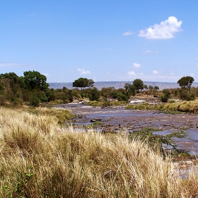 Mara river stock photo