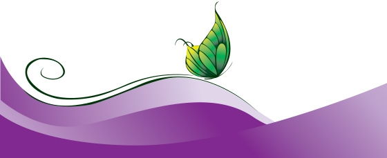 Butterfly vector banner
