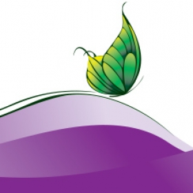 Butterfly vector banner