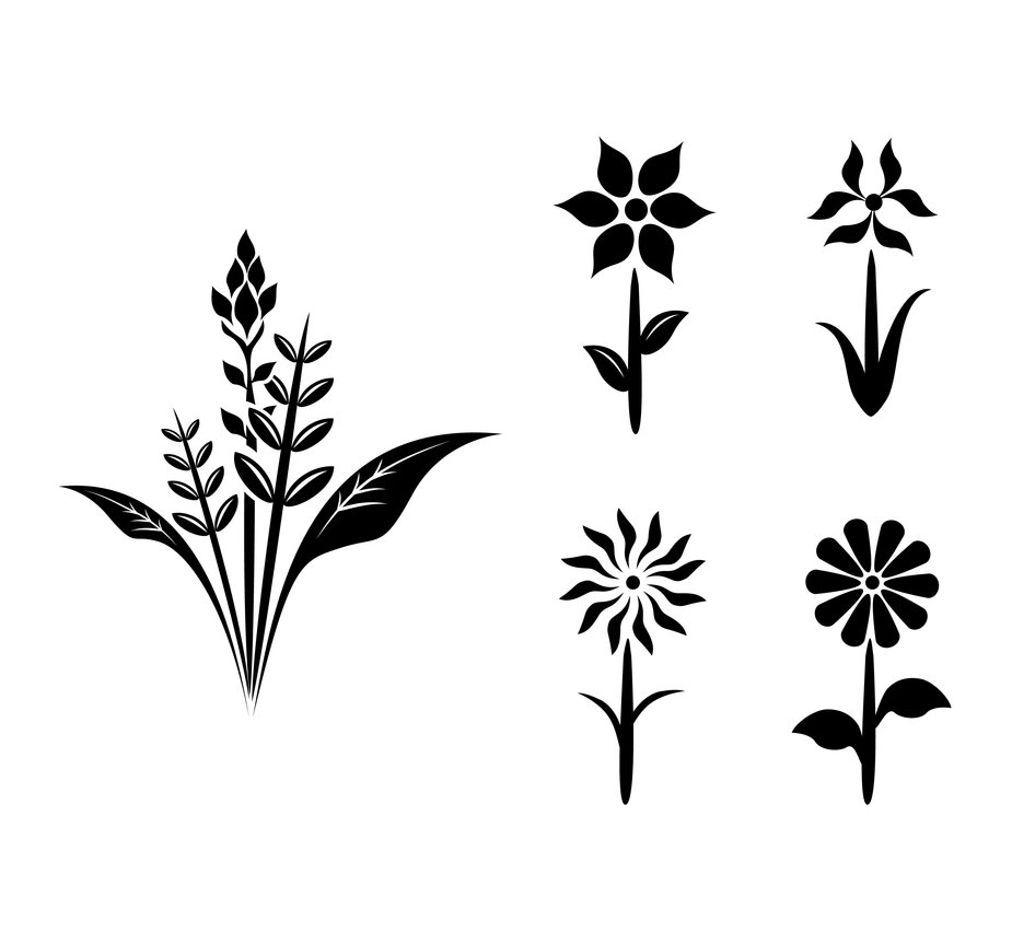 Flower black and white vector silhouette