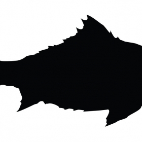 Spiky fish silhouette