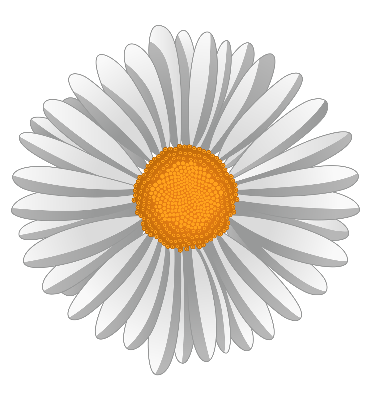 Free Camomile Flower Vector PNG